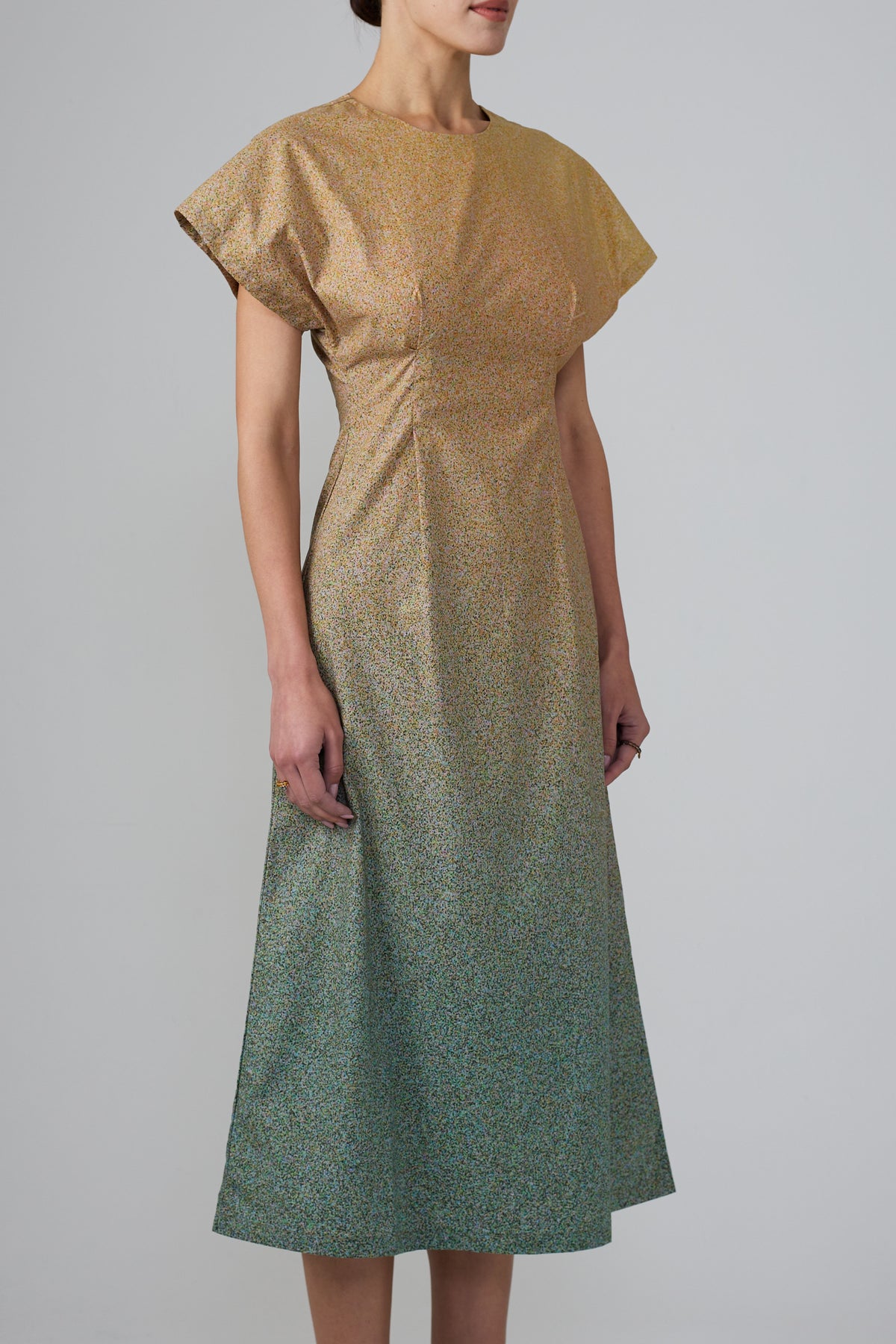Film Grains Graphic Print Dress – Verse II Nature Collection