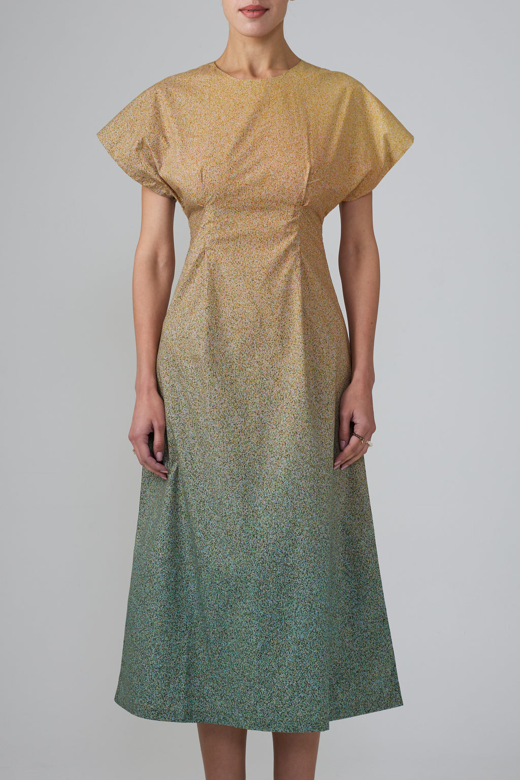Film Grains Graphic Print Dress – Verse II Nature Collection