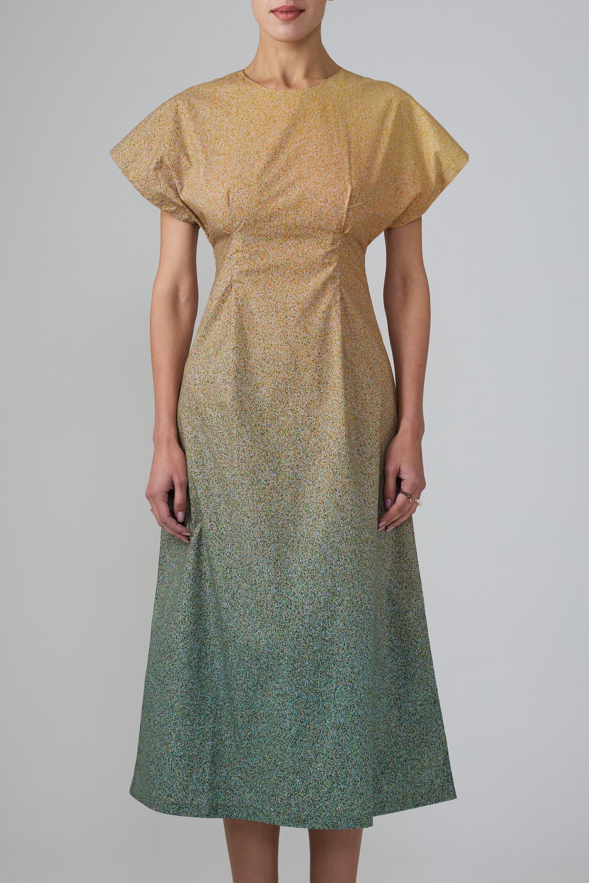 Film Grains Graphic Print Dress – Verse II Nature Collection
