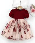 Beautiful Butterfly Carved Fit & Flare Dress for Girls